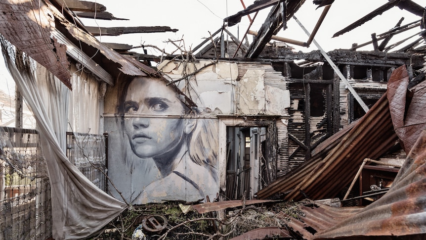A painting of a woman looks out from a wall in a burned-out house with no roof
