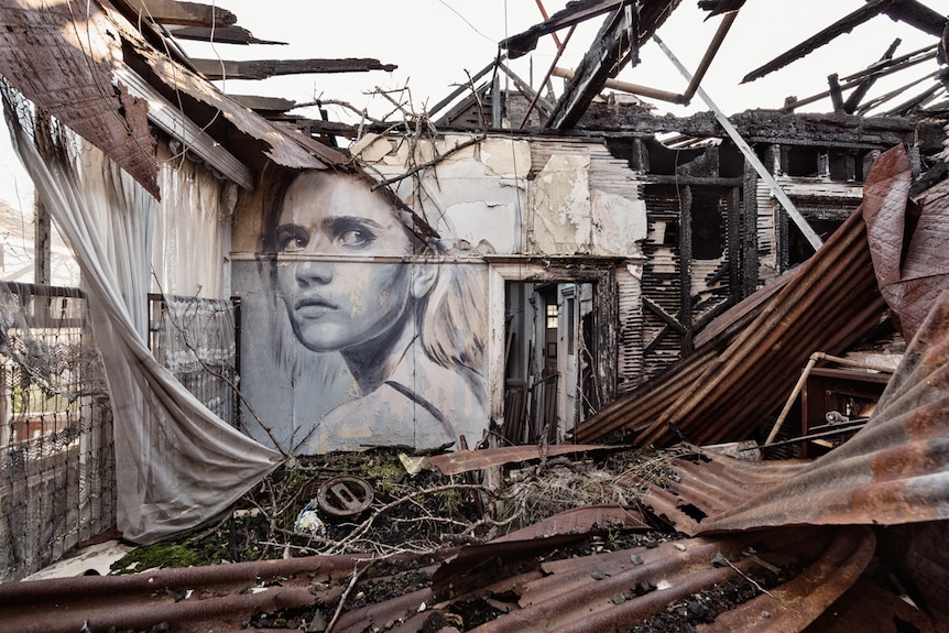 A painting of a woman looks out from a wall in a burned-out house with no roof