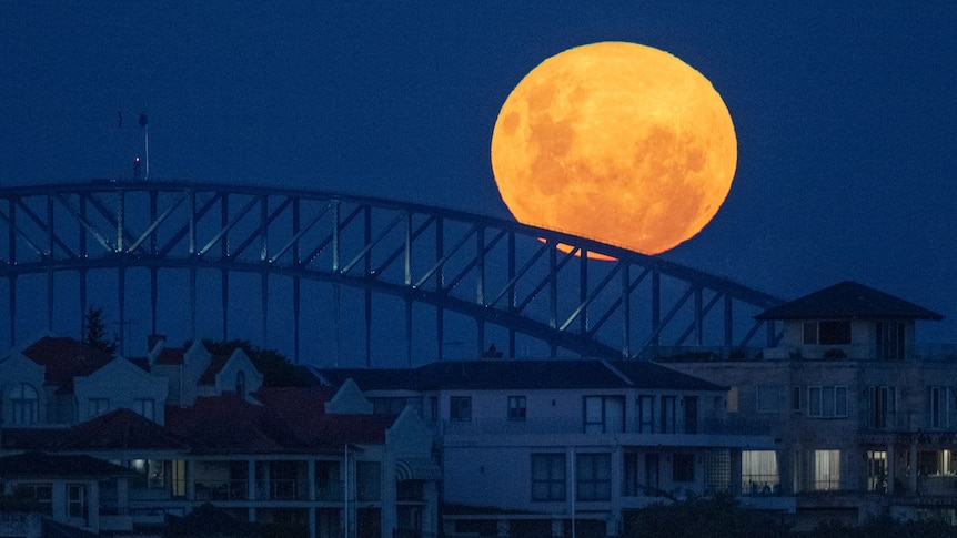 A full yellow moon above the Sydney Harbour Bridge at night. 