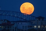 A full yellow moon above the Sydney Harbour Bridge at night. 
