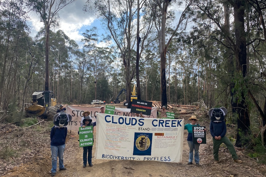 Group of people holding up signs, some in koala costumes, standing in front of a timber harvesting operation