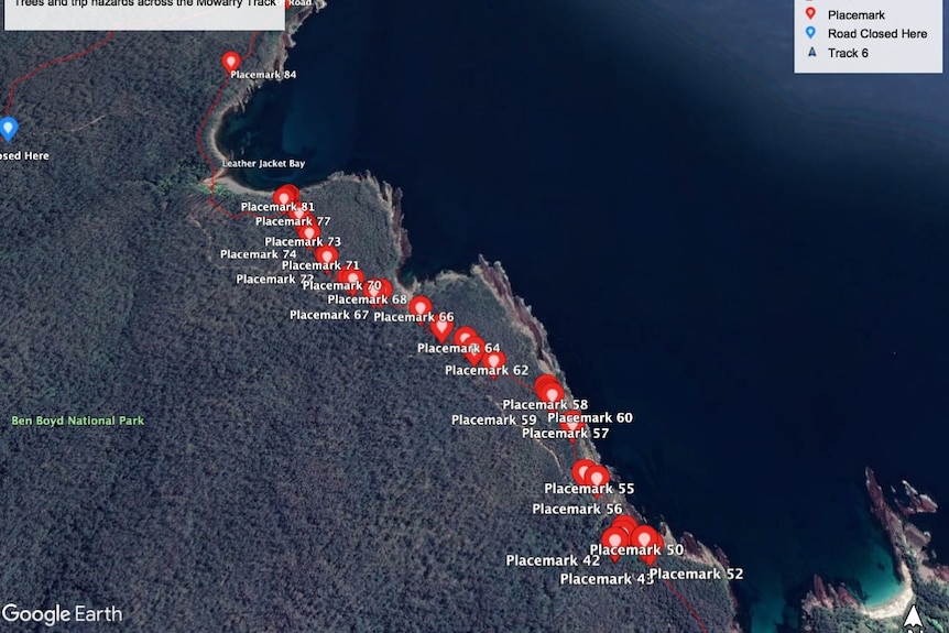 A map showing 42 red dots that geotag fallen trees