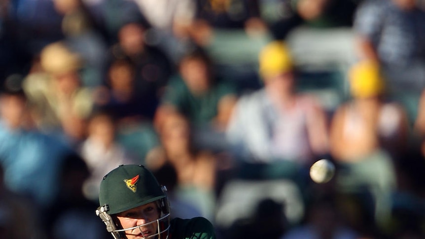 Tigers coach Tim Coyle is confident Tim Paine (pictured) will recover from a hit on his finger (file photo)