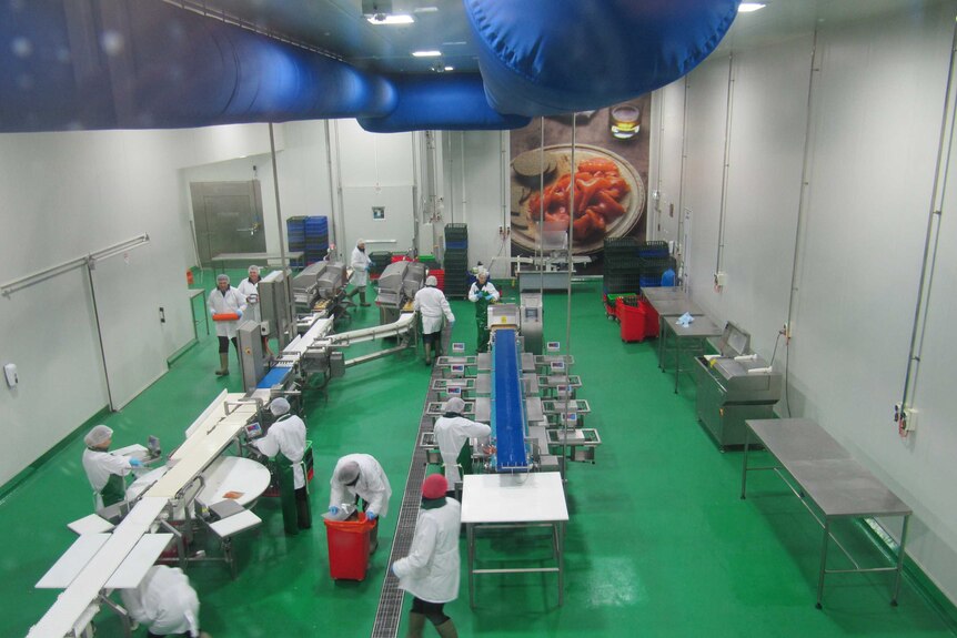 workers at a smoked salmon process factory