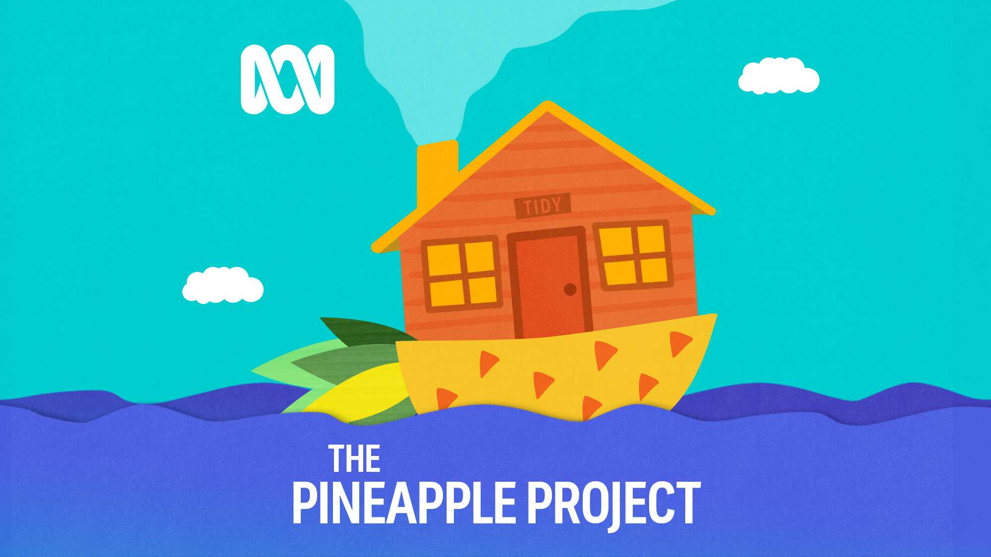 INTRODUCING - S3 00 | The Pineapple Project — Tidy