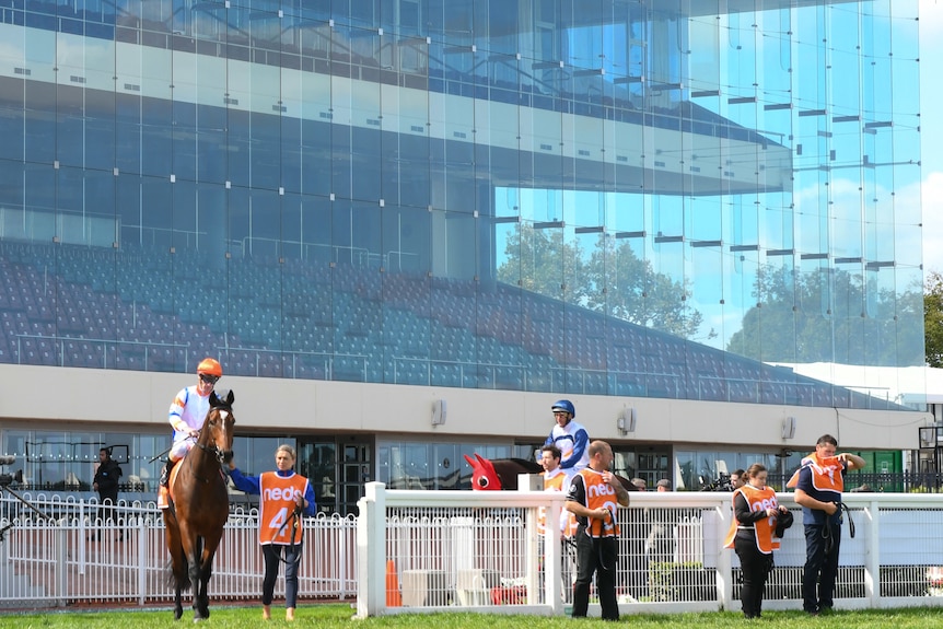 Riders and horses stand in front of a grandstand with no people in it