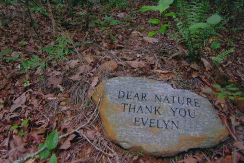 The headstone of a grave at a green burial site.