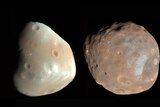Left: Deimos appears smoother and lighter in colour. Right: Phobos is covered in craters and is a dark copper colour