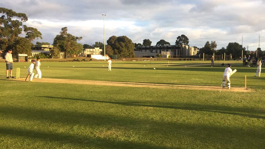 Junior cricketers at Yarraville Cricket Club