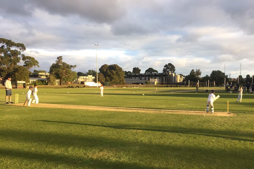 Junior cricketers at Yarraville Cricket Club