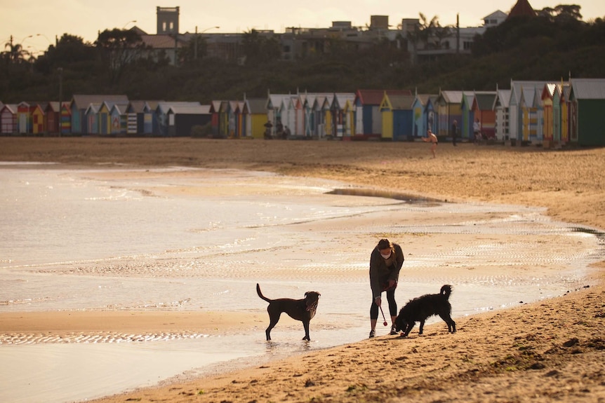 A woman wearing a mask bends down to two dogs on a Melbourne beach.