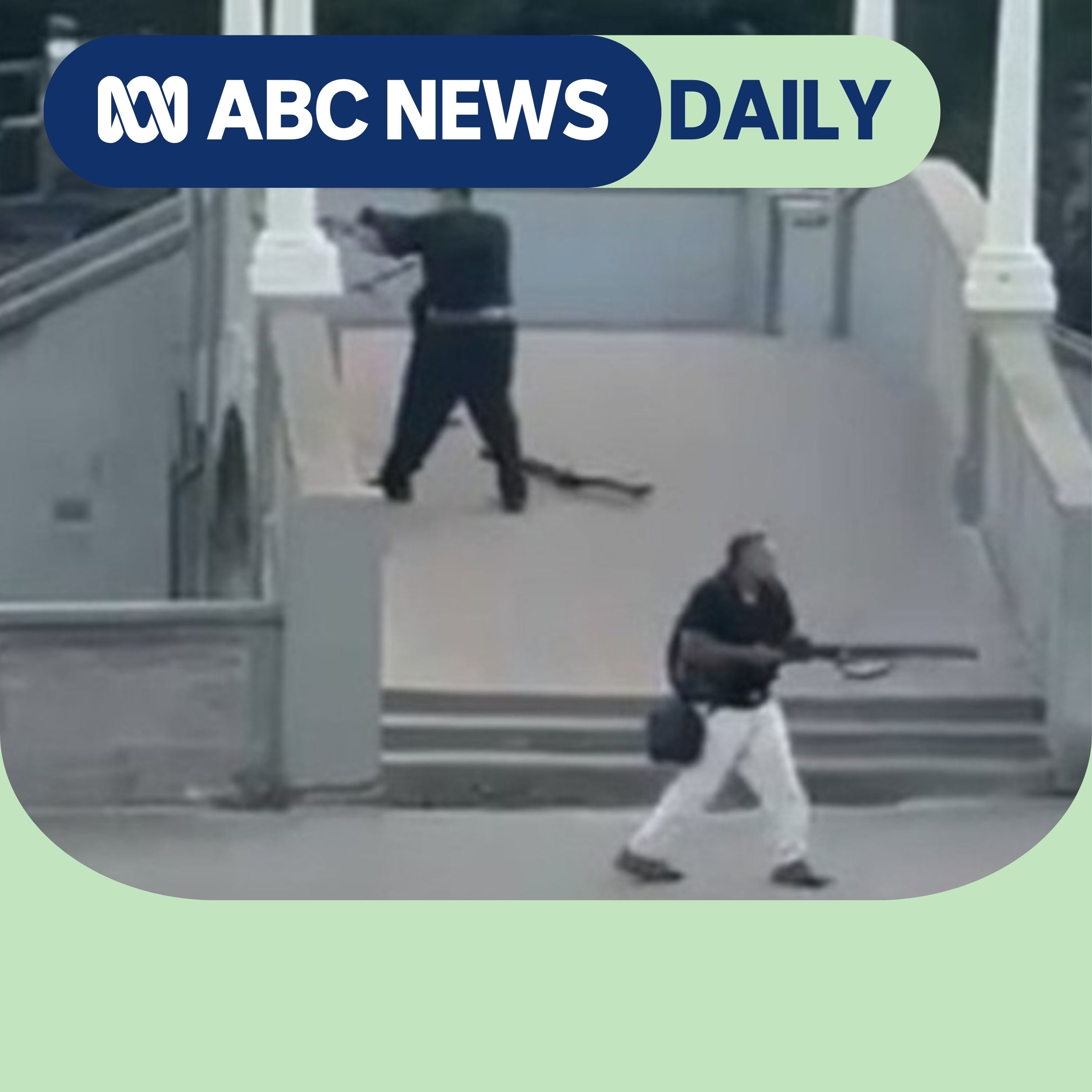 Everything we know about the Bondi shooters