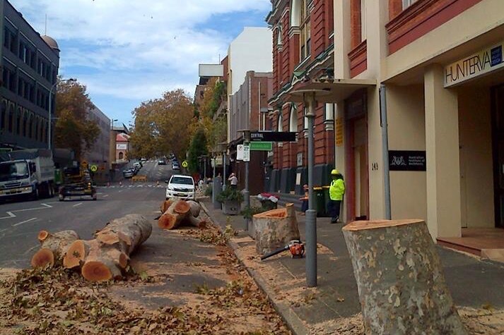 Newcastle's King Street after the removal several mature street trees.
