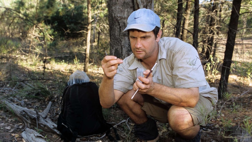 Scientists looking at the ground in a bush backyard.