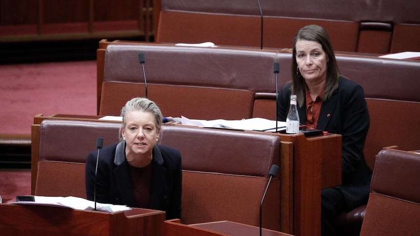 Bridget McKenzie, Perin Davey in Senate. June 23, 2021