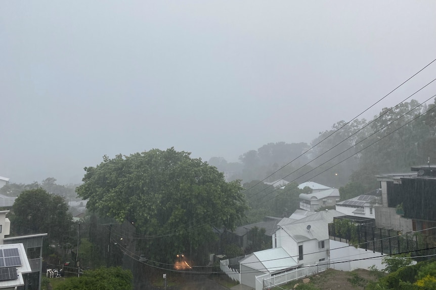 Heavy rain reduced visibility in Bardon.