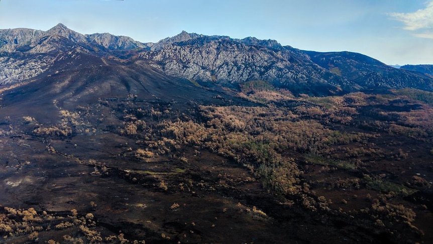 Burnt landscape in Tasmanian wilderness