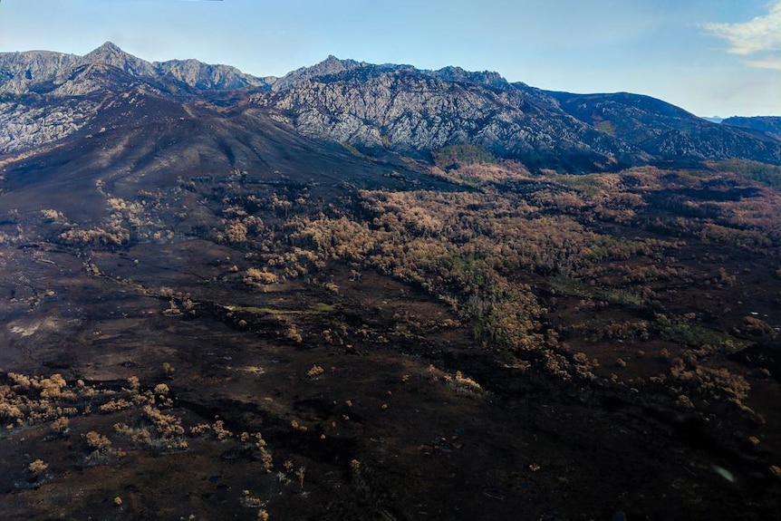 Burnt landscape in Tasmanian wilderness