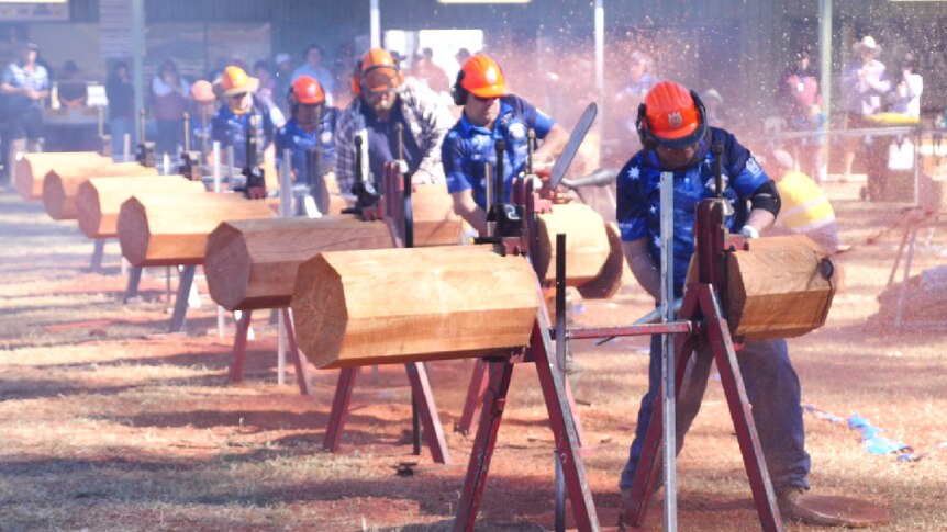 Six men chainsaw racing and sending red sawdust flying
