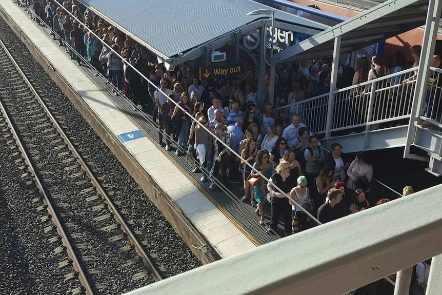 Crowding at Sydney train station
