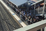 Crowding at Sydney train station