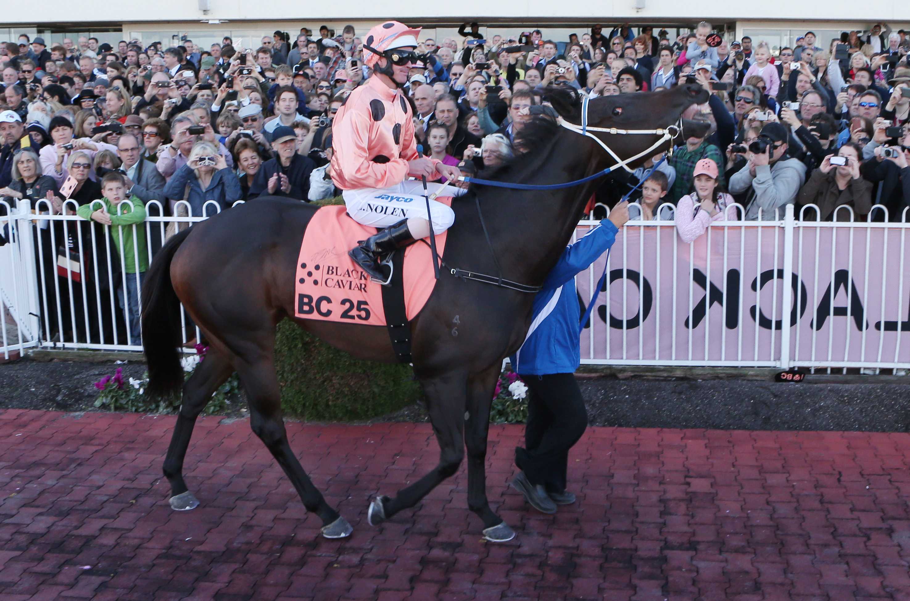 Racing royalty arrives in the Hunter - ABC News