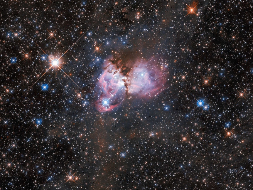 Part of the Tarantula Nebula in the Large Magellanic Cloud