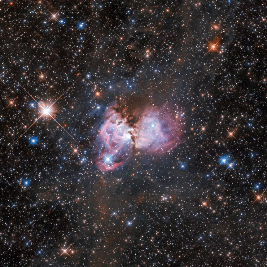 Part of the Tarantula Nebula in the Large Magellanic Cloud