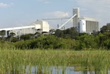 A factory looms behind a green wetland.