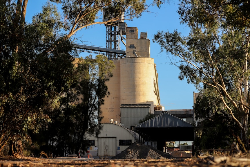 Cream coloured grain silos sit among trees and a blue sky