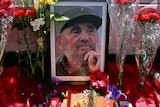 A portrait of Fidel Castro surrounded by flowers.