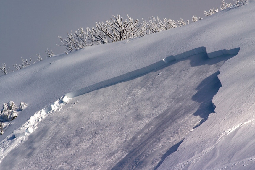 The side of a mountain covered in snow.