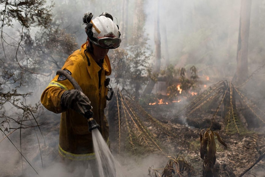 A firefighter walks through a rainforest with a hose. It's smoky and fire is visible.
