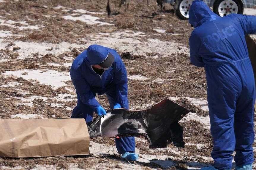 People pick items off a sandy, seaweed beach