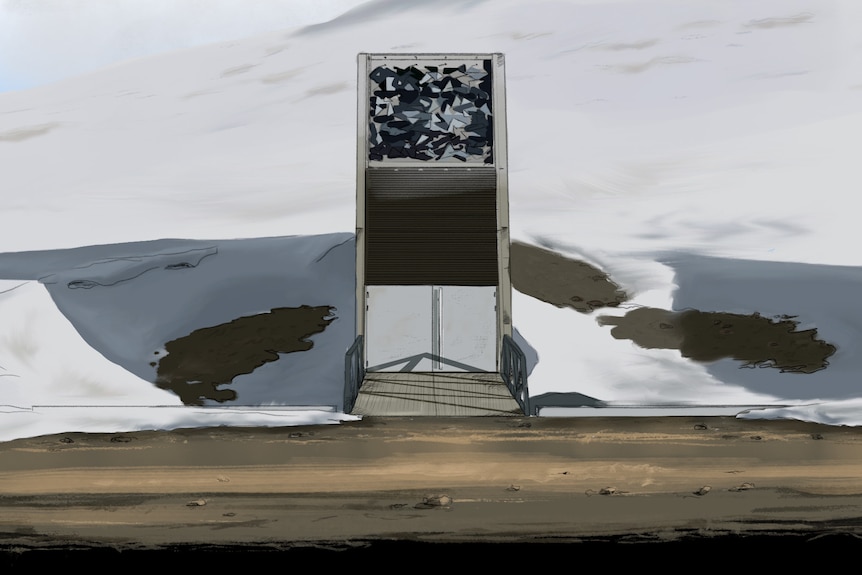 An illustration of the entrance to the Global Seed Vault in Svalbard