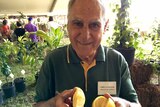 Darwin horticulturalist Chris Nathanael holds a sliced NT-grown orange