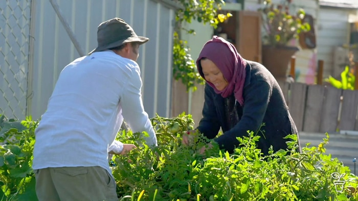 Man with a hat and a woman with a head scarf working in a vegetable garden