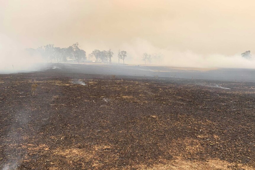 Charred blackened landscape of a bushfire ravaged farm