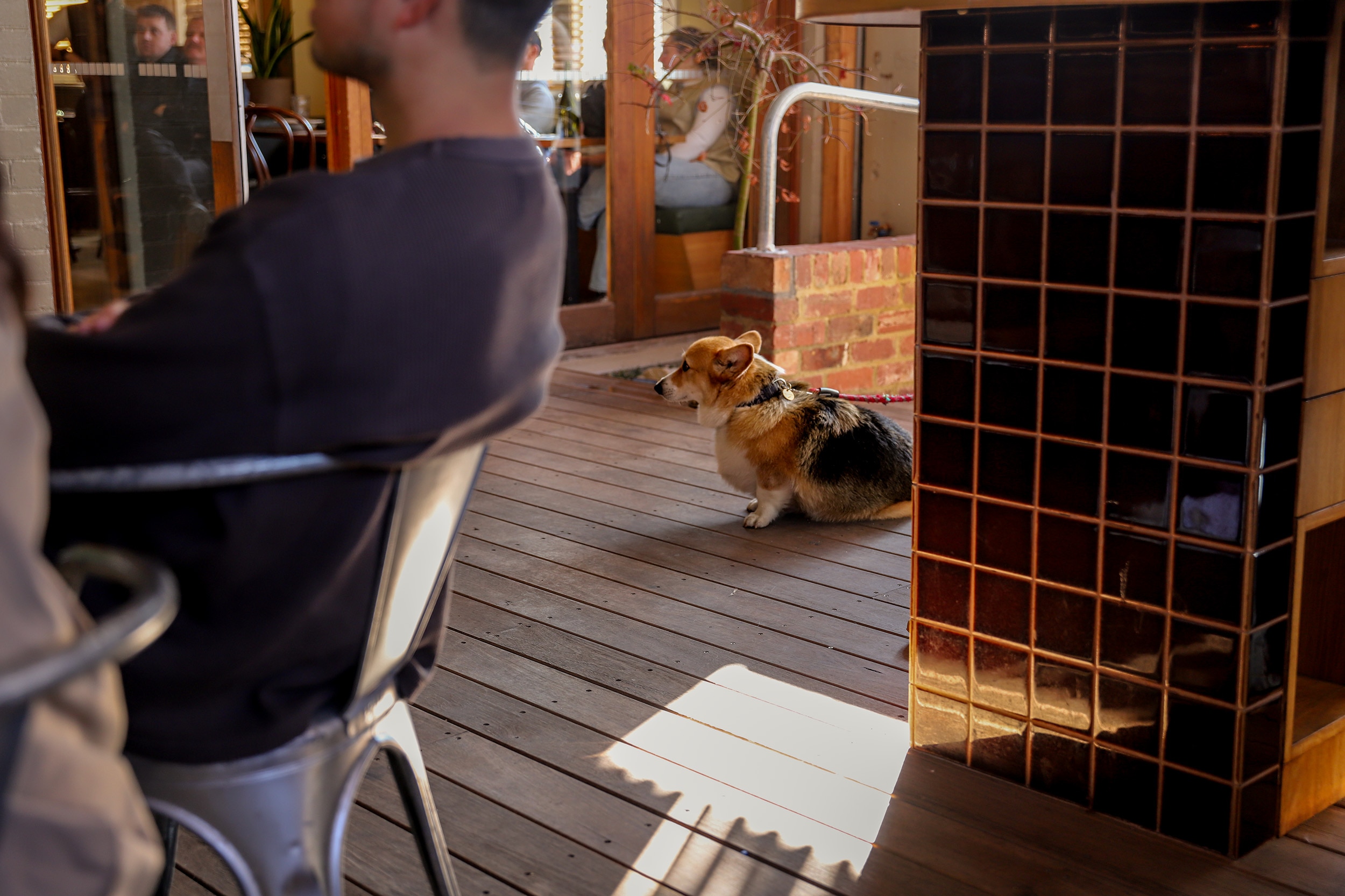 A dog in a pub beer garden looks on amid tables and a wooden floor