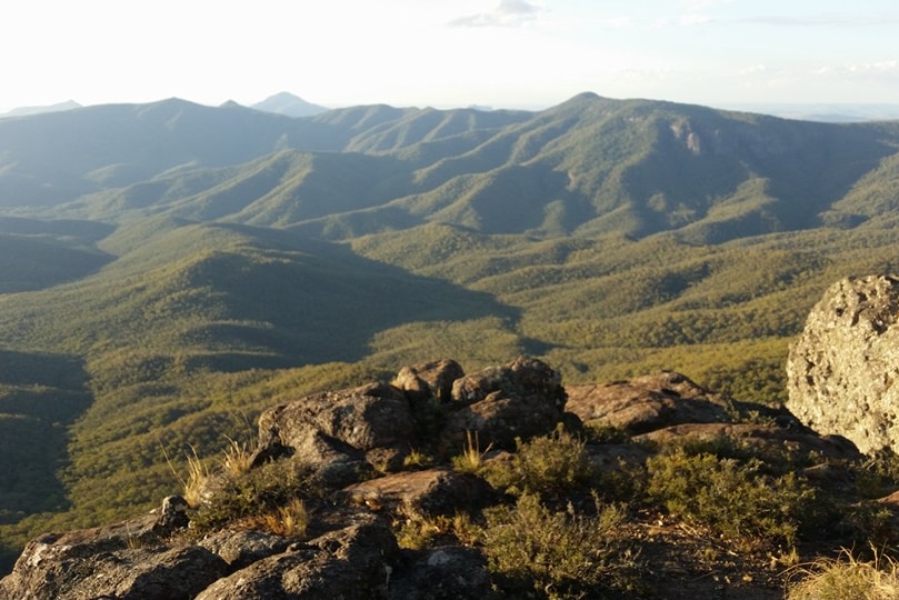 Green mountain range of peaks and valleys covered in trees, craggy rocks in the foreground.