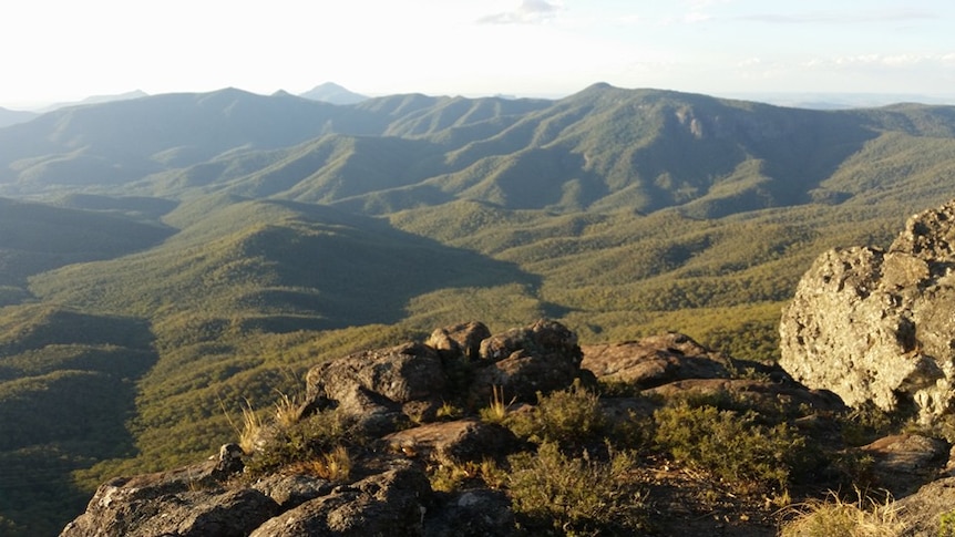 Green mountain range of peaks and valleys covered in trees, craggy rocks in the foreground.