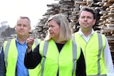 Three people in high-visibility vests walk through a lumberyard