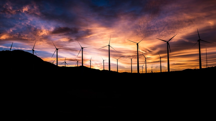 A wind farm at sunset against an orange and purple sky.