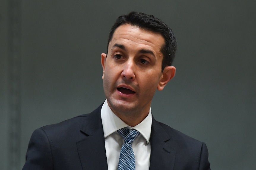 Queensland Opposition Leader David Crisafulli speaks in Parliament