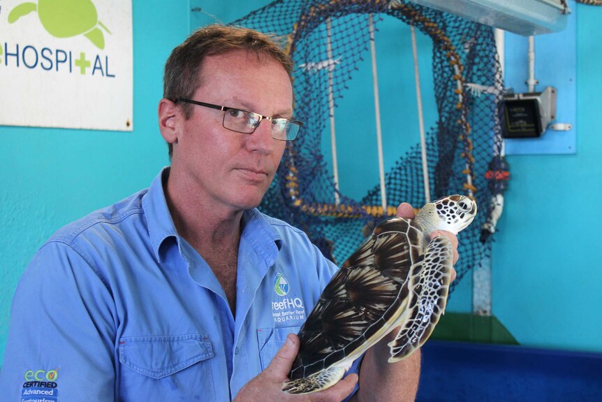 A man with glasses and wearing a blue shirt holds a small turtle in front of a turtle hospital tank.