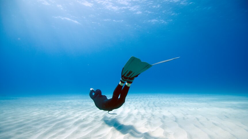 Christina Saenz swims along the ocean floor in Hawaii.