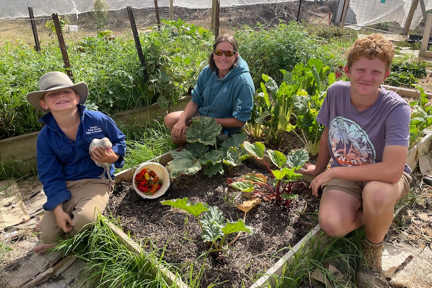 mother and two sons perched in vegetable bed 