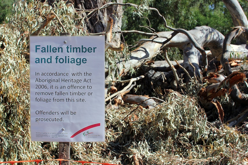 Fallen tree branches with a sign saying it's an offence to remove wood and foliage from the site.
