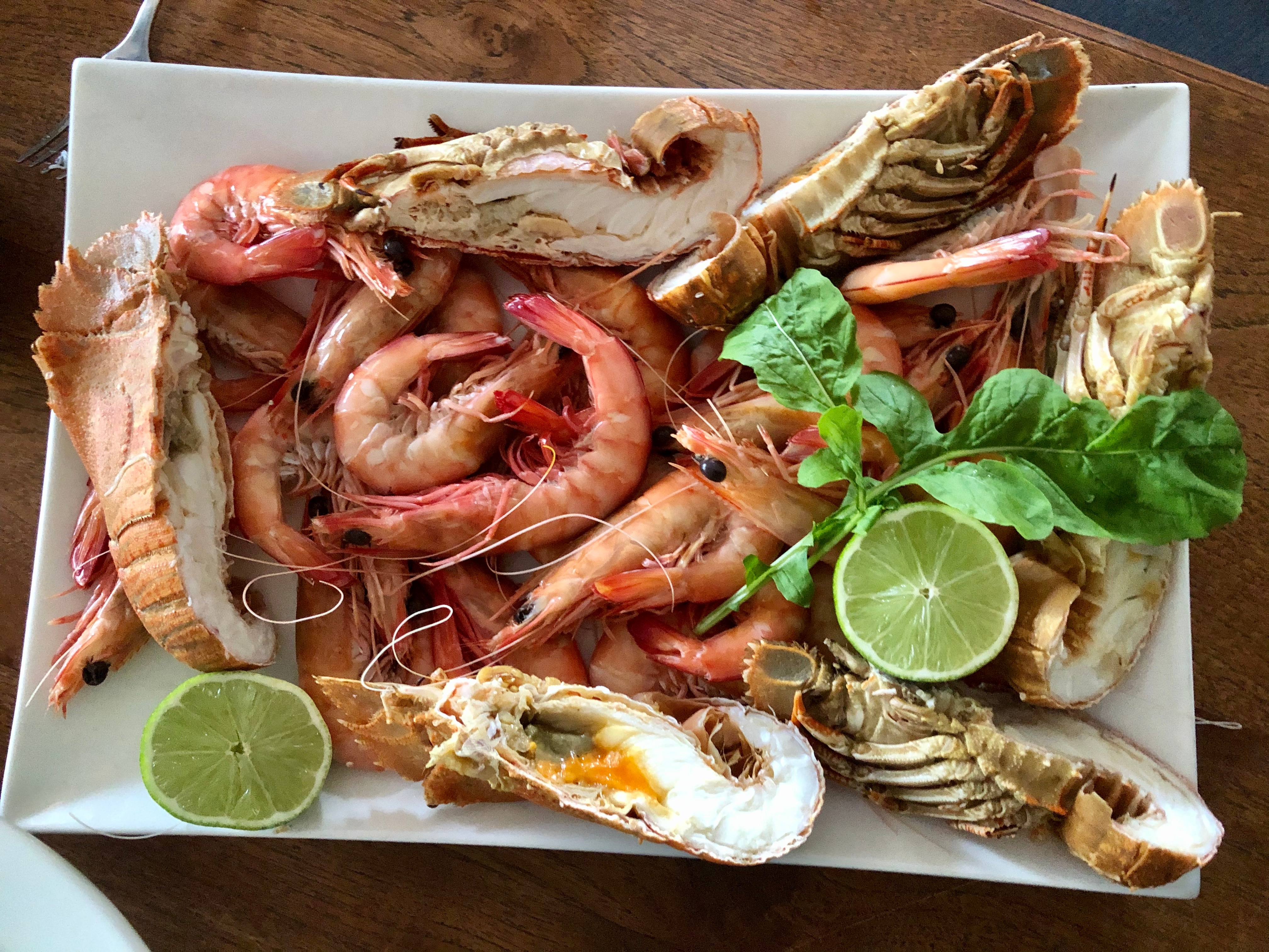 Camarões e insetos em uma travessa.