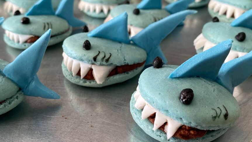 Small blue biscuits, designed with eyes and shark teeth.